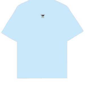Icon Azul Cielo Regular Koala