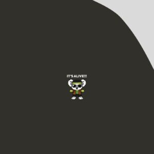 Frankenstein Asfalto Heavyweight Oversized Koala